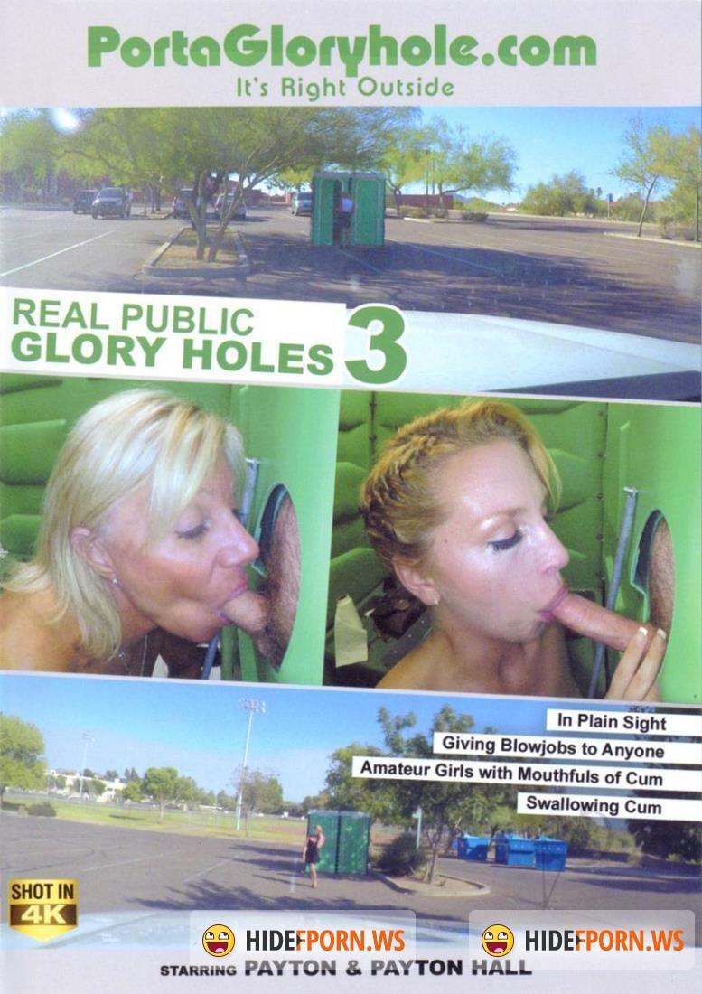 Real Public Glory Holes 3 [DVDRip]