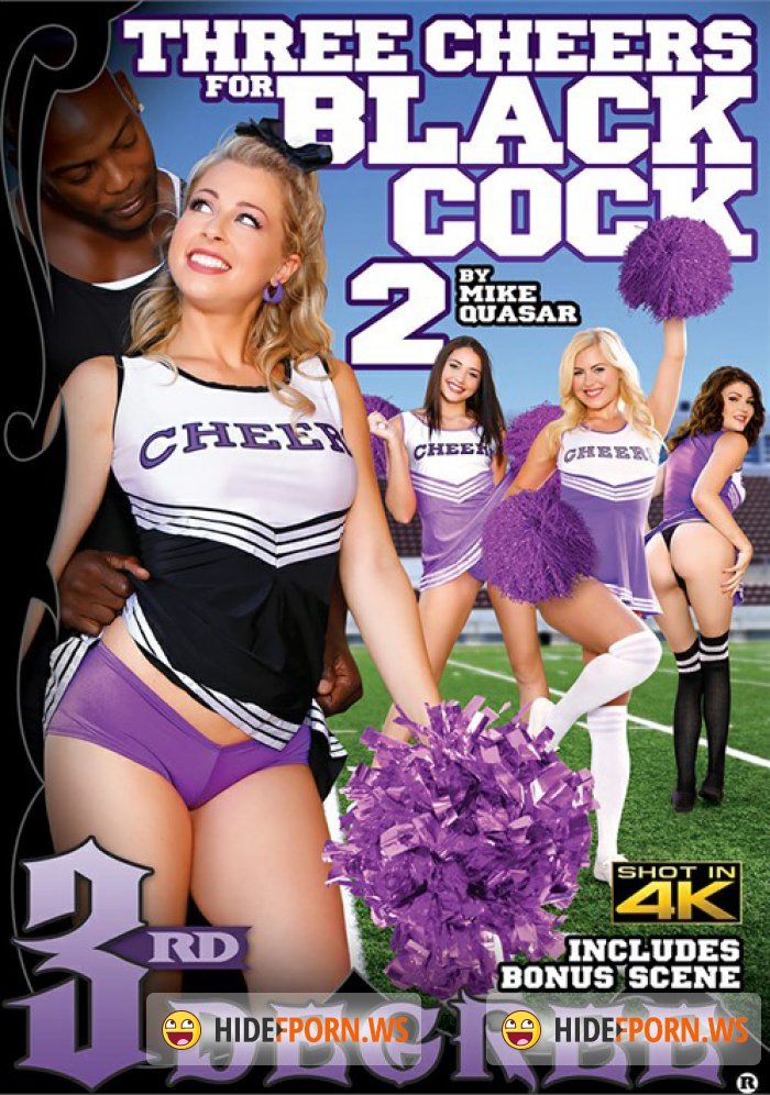 Three Cheers For Black Cock 2 [DVDRip]