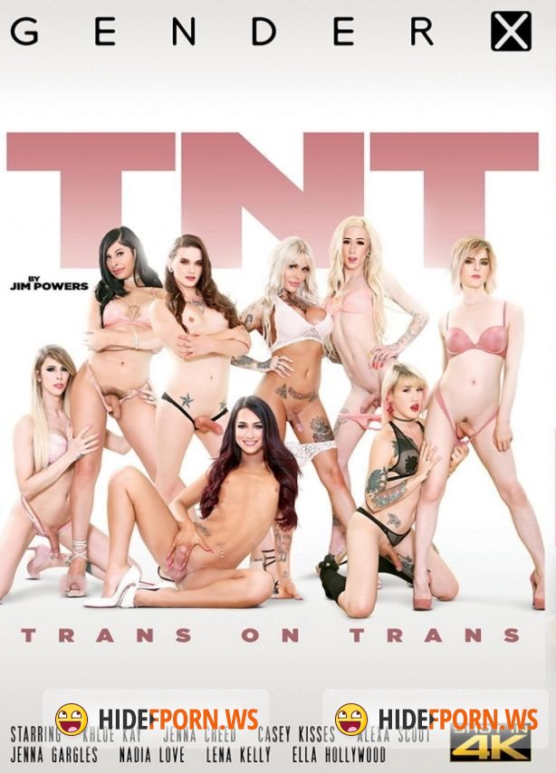TNT Trans on Trans (FullHD/6.74 GB)