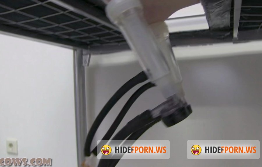 HuCows - Ariel Anderssen Goat - Milker Full Power [2020/HD]