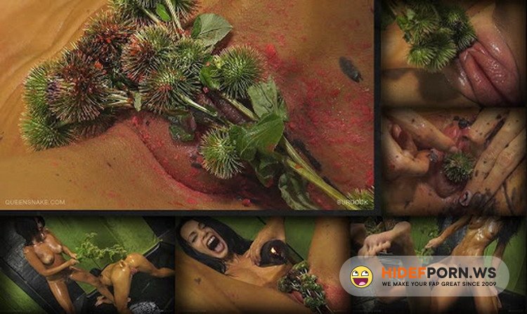 QueensnakeStudio.com - Queensnake, Diamond - Burdock [HD 720p]