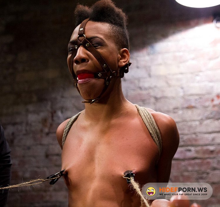 Hogtied.com/Kink.com - Nikki Darling - Live! Feisty whore- bound, tormented and fucked! [HD 720p]