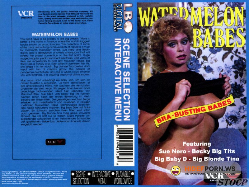 Watermelon Babes [1980/WEBRip/SD]