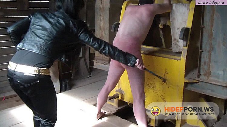 Lady Alegria - Lady Alegria - My rubber whip on your ass! [HD 720p]