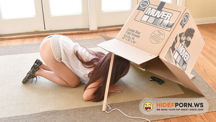 ExxxtraSmall.com/TeamSkeet.com - Elle Voneva - Tiny Thief Gets Trapped [FullHD 1080p]