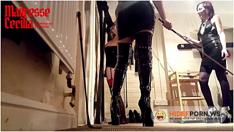 Clips4Sale Maitresse Cecilia - That Useless Sissy Comes Back With Not Even A Penny [FullHD 1080p]