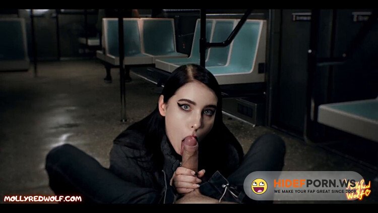 Beautiful Stranger Sucked Me In Train - MollyRedWolf [FullHD 1080p]
