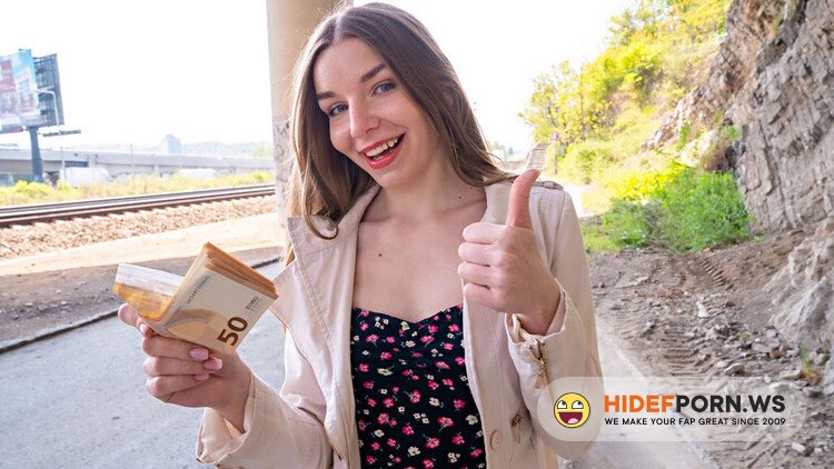 PublicAgent / FakeHub - Arina Shy - Shy And Tight Outdoor Fuck [Full HD 1080p]