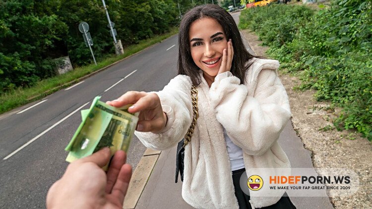 PublicAgent.com / FakeHub.com - Tasha Lustn [Full HD 1080p]