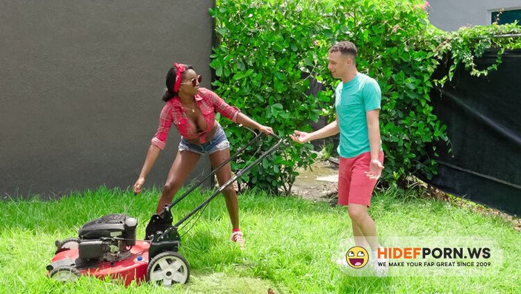 MilfHunter.com/RealityKings.com - Naomi Foxxx : Helping Out My MILF Neighbor [FullHD 1080p]