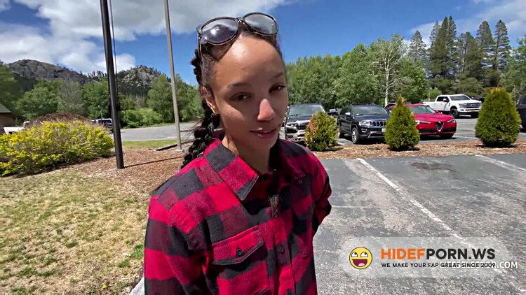 Dfusporn - Roadtrip With Your GF Alexis Tae Part [FullHD 1080p]