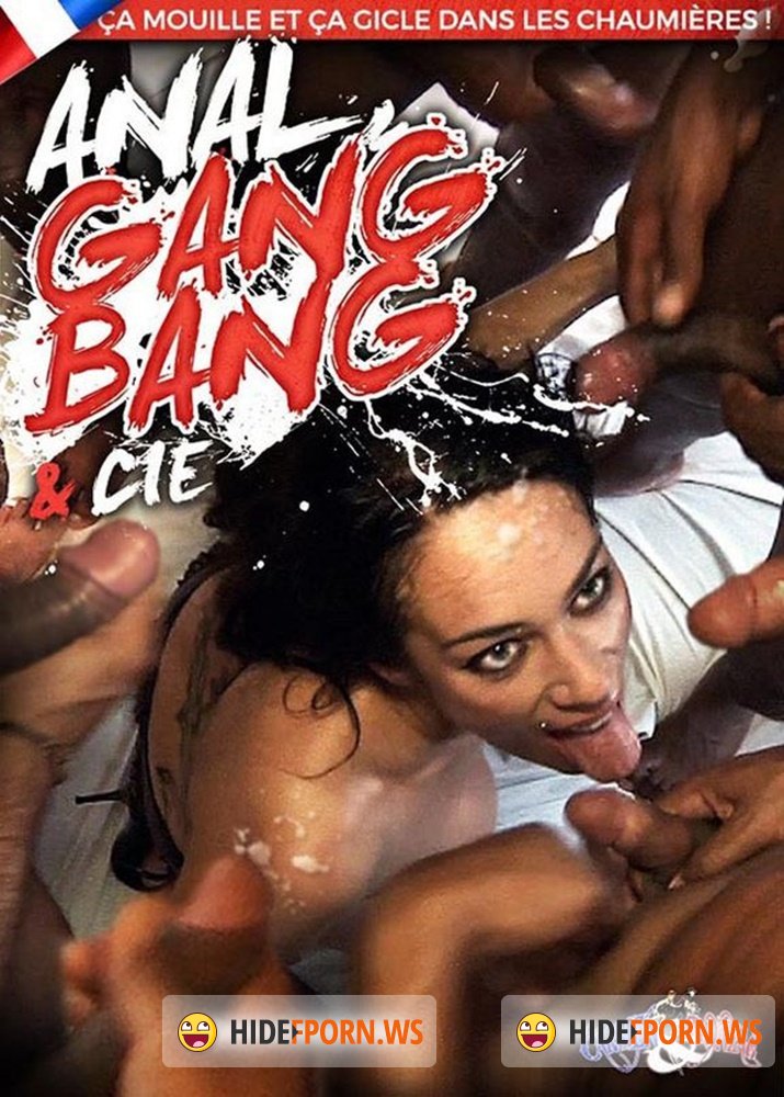 Anal Gang Bang et Cie [2016/WEBRip/SD]