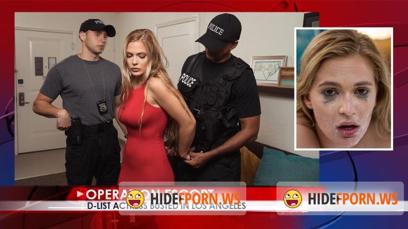 OperationEscort.com - Sloan Harper - D-List Actress Busted In Los Angeles [HD 720p]