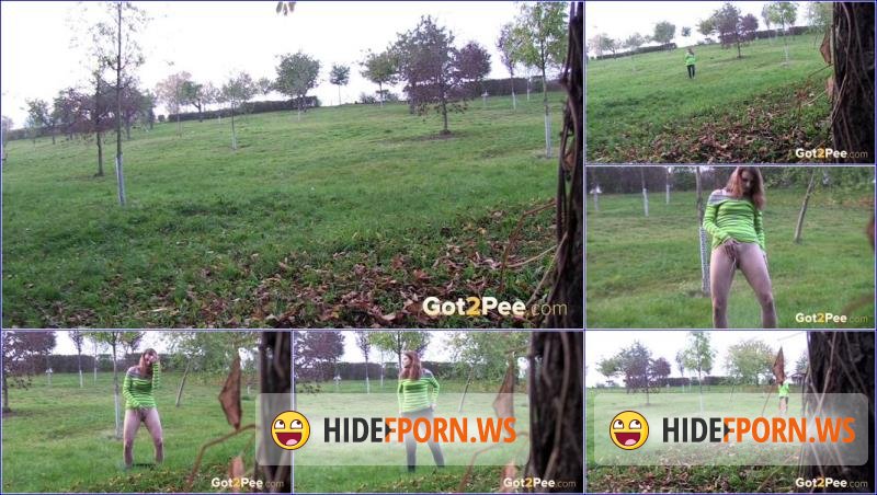 Got2Pee.com - Unknown - Video-two-targets [FullHD 1080p]
