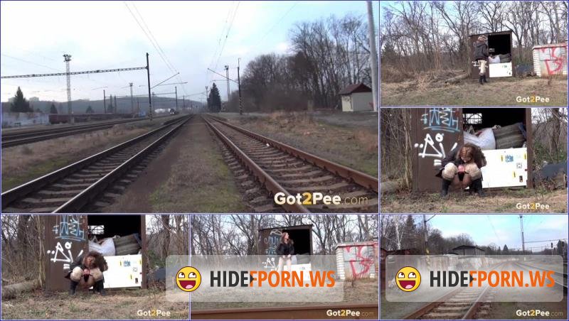 Got2Pee.com - Unknown - Video-train-line [FullHD 1080p]