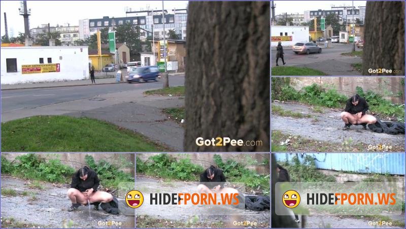Got2Pee.com - Unknown - Video-heavy-traffic [FullHD 1080p]