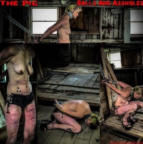 BrutalMaster - The Pig Balls, Ass Holes -  [2020/FullHD]