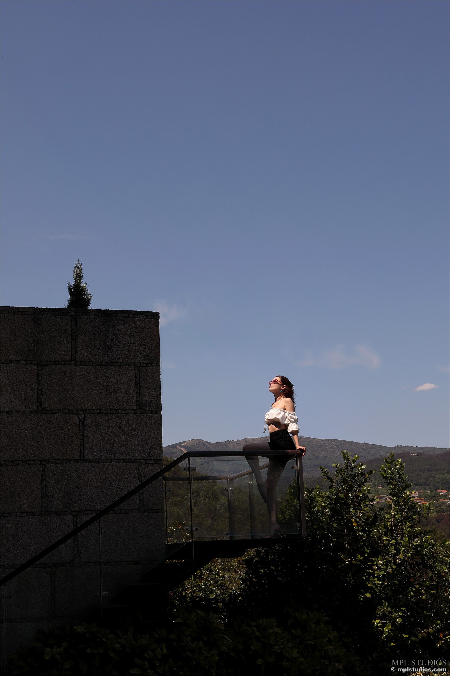 Amelia - Wild Kingdom