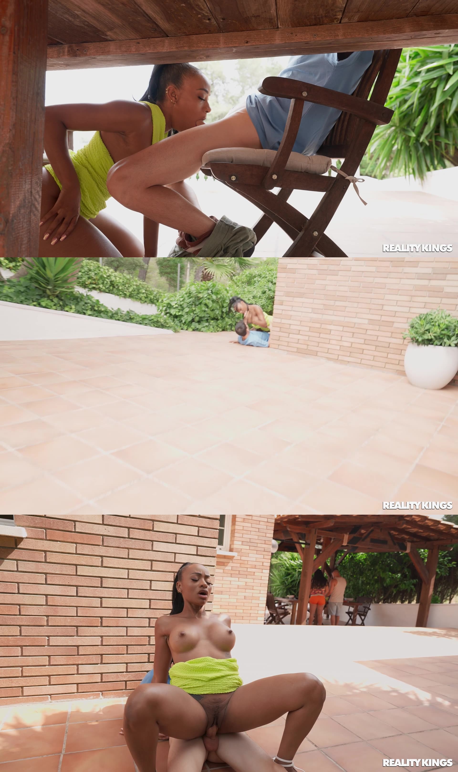RealityKings - Sneaky Sex At Backyard BBQ